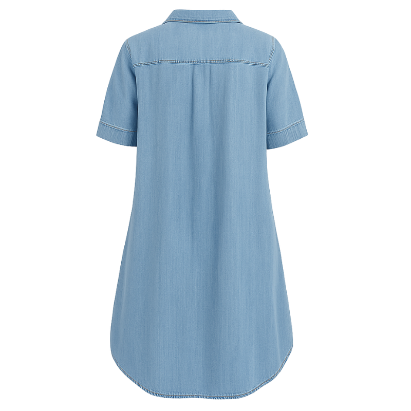 Jill Femme Robe en Jean